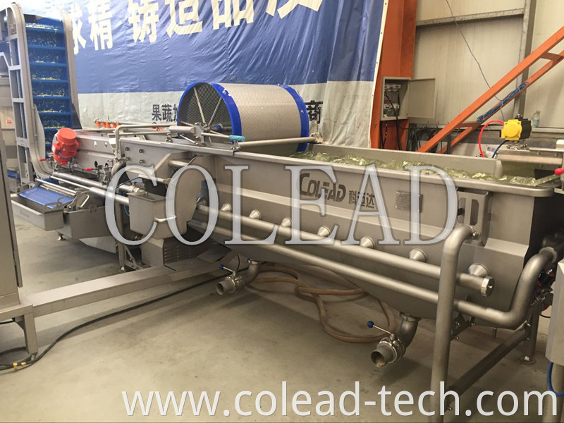 HOT SALE 2018 SUS304 new commercial fruits and vegetable processing line from colead
